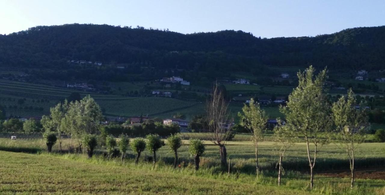 La Pergola Alloggio Brendola Esterno foto