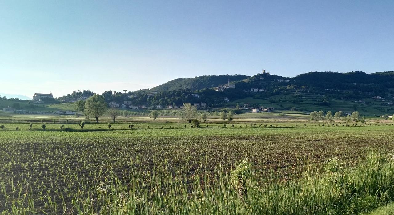 La Pergola Alloggio Brendola Esterno foto